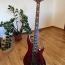 Schecter Omen Extreme 5
