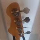 Cimar bass