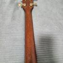 Taylor 816CE Builder's Edition