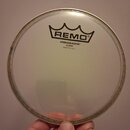 Remo Ambassador 6"
