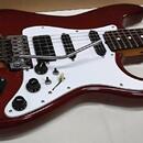 Stratocaster ESP