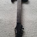 Nehraná barytonová 7strunka ESP LTD TE1007B