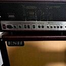 ESH Catr custom 30 W + GX 112  60