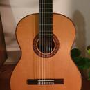 Celomasivní Martinez Custom Shop MCG-130S