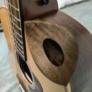 Taylor 816CE Builder's Edition