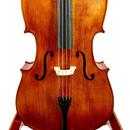 Mistrovské violoncello model Gagliano