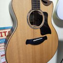 Taylor 816CE Builder's Edition