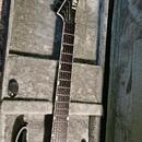 ESP LTD MH 1001 De luxe