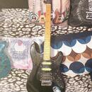Epiphone  Stratocaster S310
