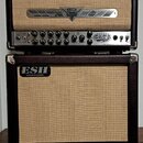 ESH Catr custom 30 W + GX 112  60