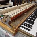 Klavír PETROF model V (160 cm)