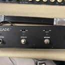 EGNATER Renegade 65 2x12 kombo