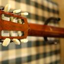 Otto SCHNEIDER - Classic Guitar