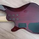 Schecter omen exteme 5 (klidně výměna)