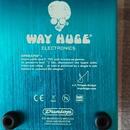 Analog delay -Way huge Agua-Puss MKII
