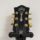 Guild Polara Kim Thayil