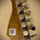 MOOER GTRS Standard 800 Elektrická kytara 