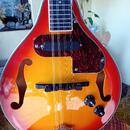 Elektroakustická mandolína
