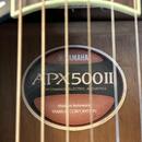 Yamaha APX 500