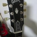 Gibson ES-335 DOT