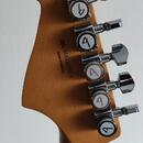 Fender Meteora Player Plus