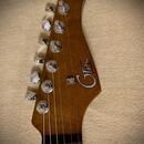 MOOER GTRS Standard 800 Elektrická kytara 