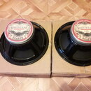 WGS Warehouse G12 REAPER 30W reproduktor 16 ohm