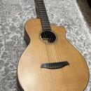 Furch GN 2-CW Deep Body Anthem