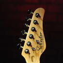 SCHECTER PT FASTBACK Black