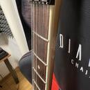 Lee Hooker superstrat