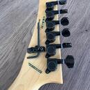 Epiphone EM-2 custom prophecy + Fender mustang II 40W