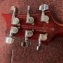 PRS SE Standard 24 (2022)