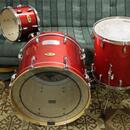 Pearl Vision Maple
