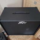 PEAVEY EXCENTIAL CABINET