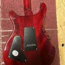 PRS SE Standard 24 (2022)