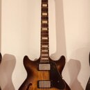 Ibanez AMV10A-TCL (Artcore Vintage) – Špičková semiakustika