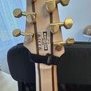 Ibanez RG80F