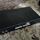 polovina Mesa Boogie STEREO SIMUL-CLASS 2:NINETY power amp