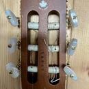 Godin Tele AcoustiClassic (Pre-Multiac) 1995
