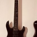 Carvin USA– 7strunný americký unikát