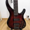 Yamaha TRBX604 FM DRB
