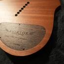 Prodám Aviator Raven / 7 strun / multiscale