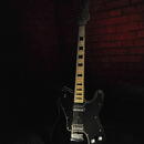 SCHECTER PT FASTBACK Black