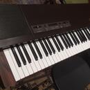 Yamaha PF 10