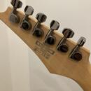 Ibanez RGA42-BK s EMG 81 a EMG 85 Výměna
