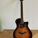 Yamaha APX 500