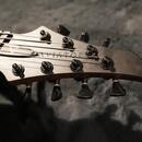 Prodám Aviator Raven / 7 strun / multiscale
