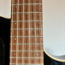 Godin Tele AcoustiClassic (Pre-Multiac) 1995