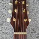Stanford Nova 1 CP