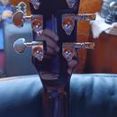 Michael Kelly Patriot Decree Blue 